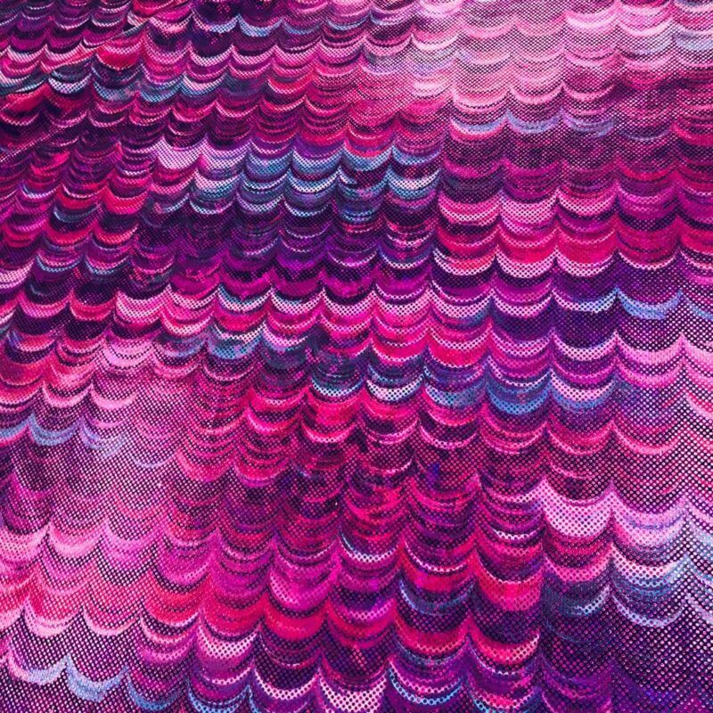 Spandex Fabric