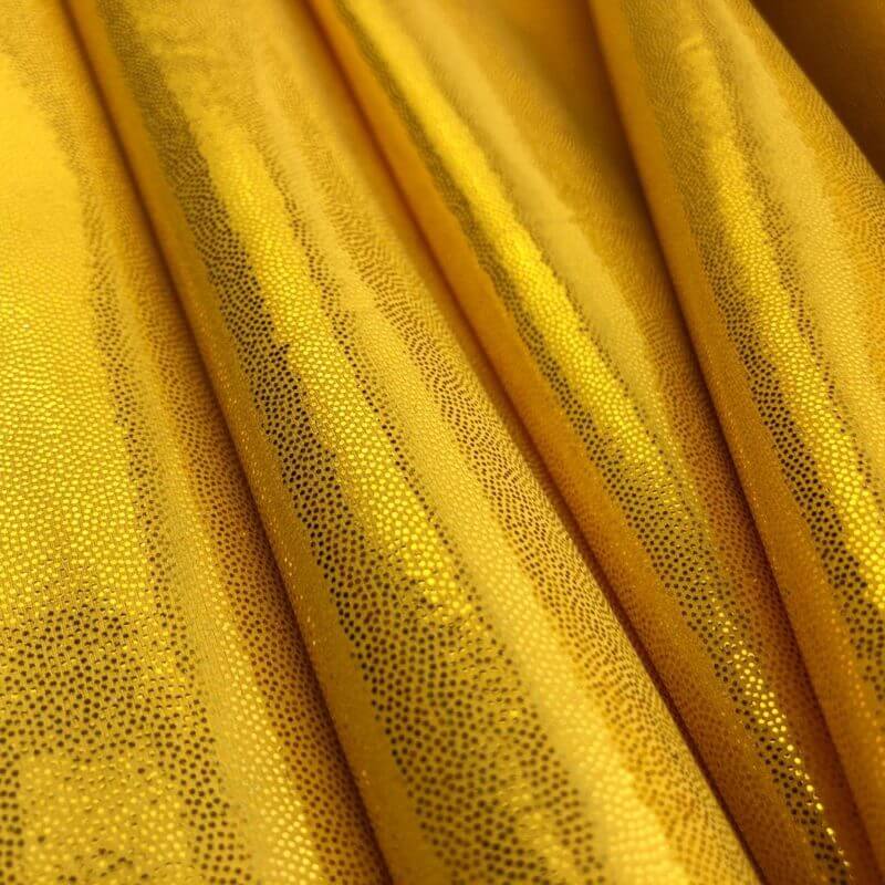 Spandex Fabric