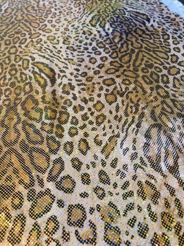 Spandex Fabric