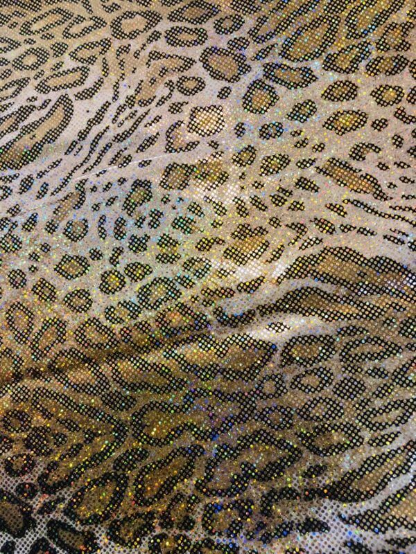 Spandex Fabric