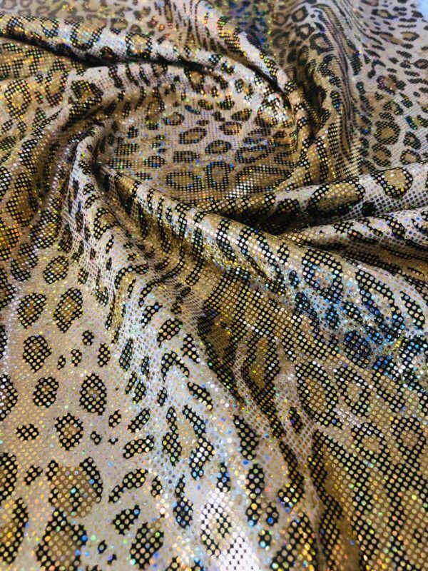Spandex Fabric