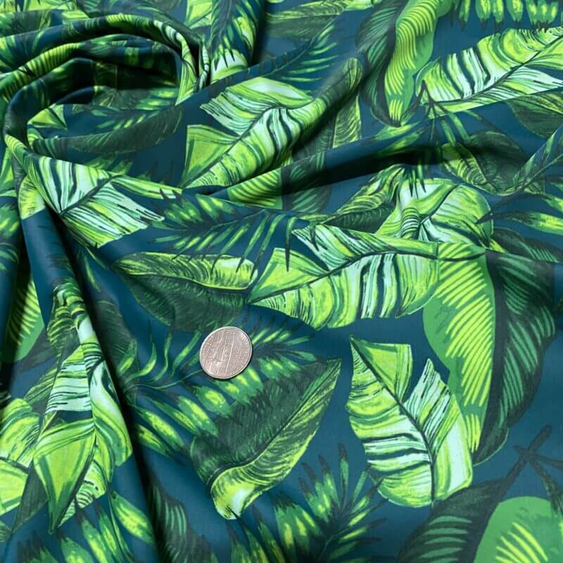 Spandex Fabric