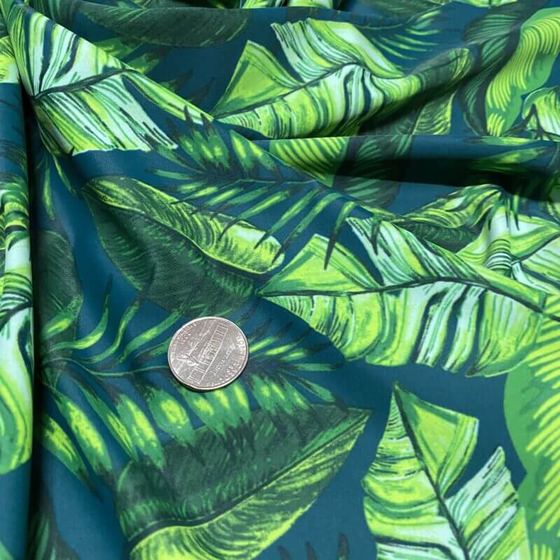 Spandex Fabric
