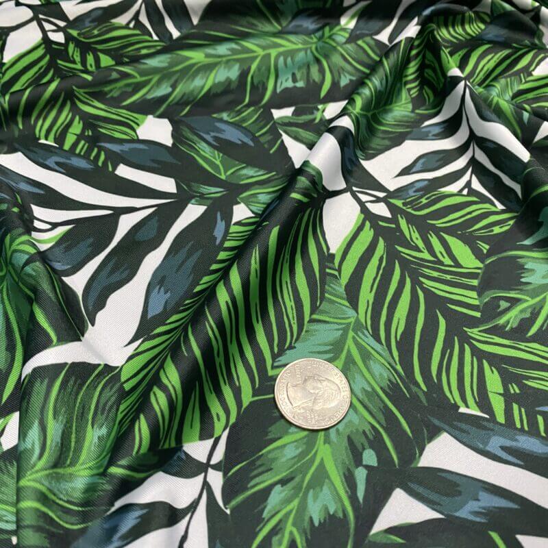Spandex Fabric