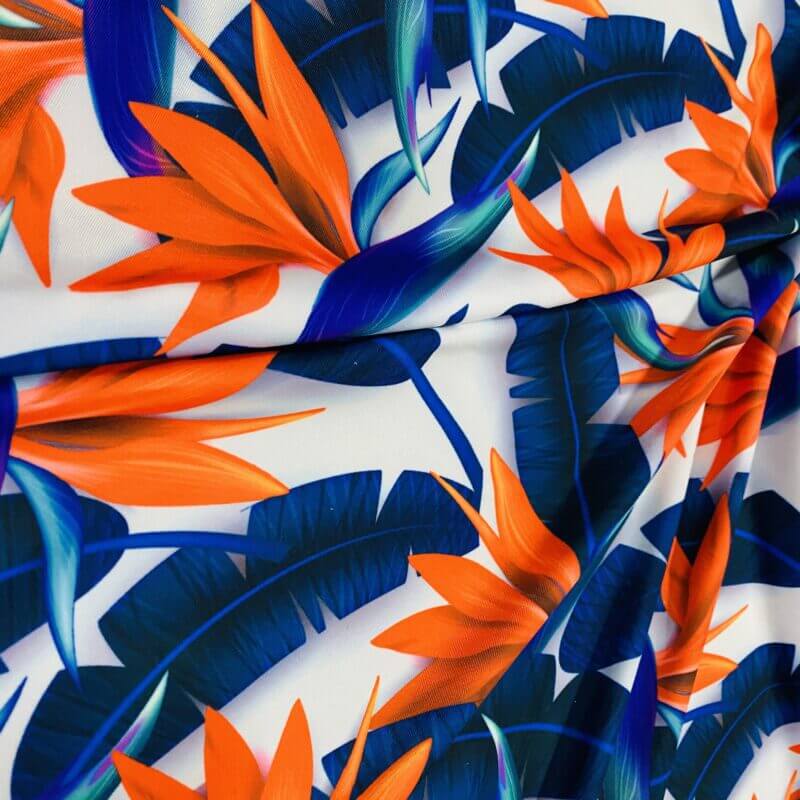 Spandex Fabric