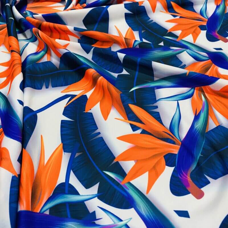 Spandex Fabric