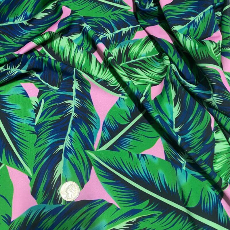 Spandex Fabric