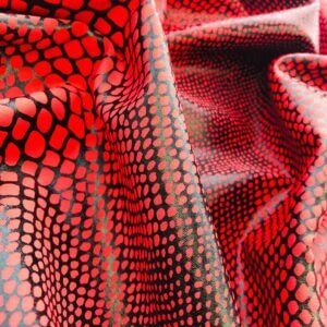 Spandex Fabric