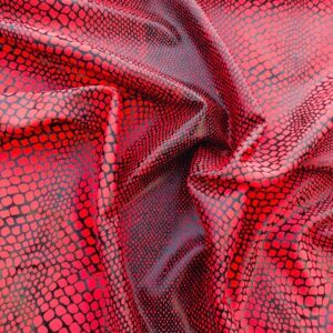 Spandex Fabric