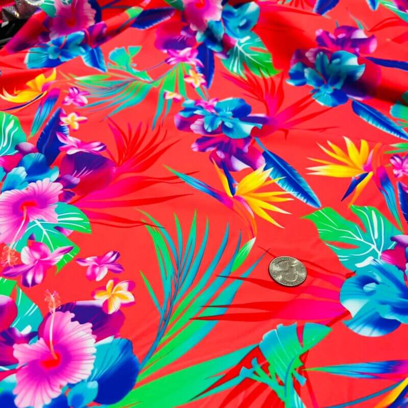 Spandex Fabric