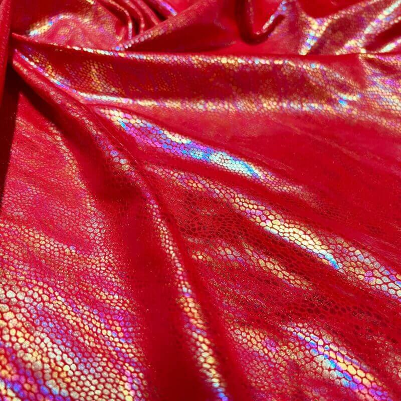 Spandex Fabric