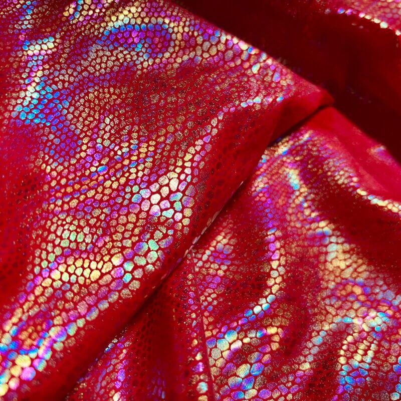 Spandex Fabric