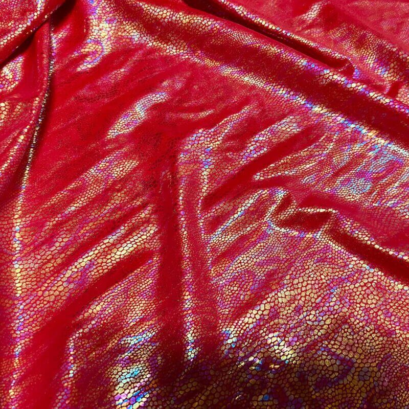 Spandex Fabric