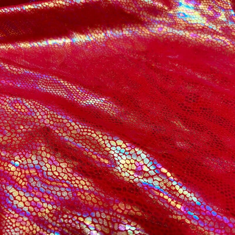 Spandex Fabric