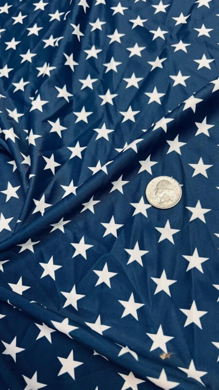 Spandex Fabric